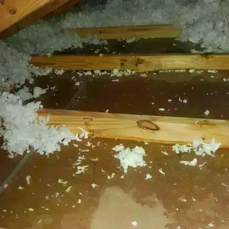 Attic Water Damage in Warren, PA