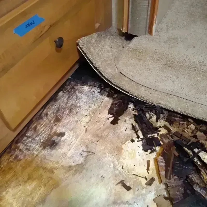 Wood Floor Water Damage in Warren, PA